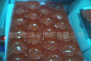 吸塑水果包装托盘 价格、厂家与图片全解析