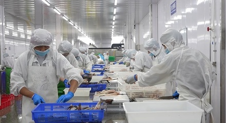 曹县 开足马力忙生产，卷烟行业迎春潮